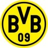 BV Borussia 09 Dortmund Allenamento